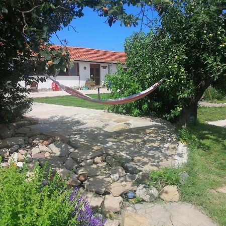 Calla Retreat Vezenkovo Exterior photo